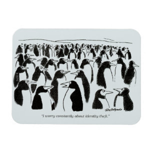 Identitätsdiebstahl Magnet