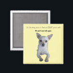 IDGAF Humor Magnet<br><div class="desc">Great humorous gift for any occasion.</div>