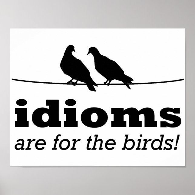 Idioms Sont Pour Les Oiseaux Drôle Poster Signe Gr (Devant)