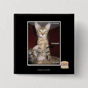 Idiot-Freunde Button