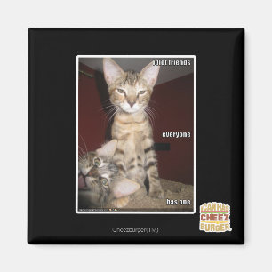 Idiot-Freunde Magnet