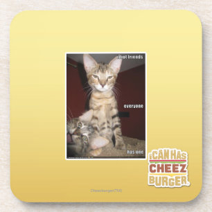 Idiot-Freunde Untersetzer