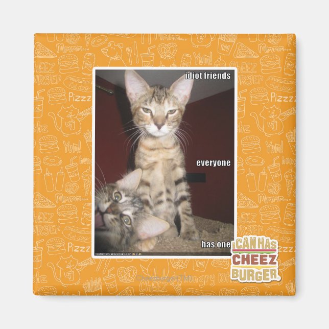 Idiot Friends Magnet (Vorne)