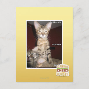 Idiot Friends Postkarte