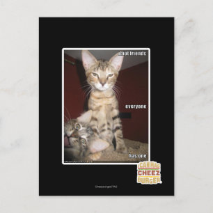Idiot Friends Postkarte