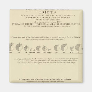 Idioten, Statistischer US-Lithograph 1870 Magnet
