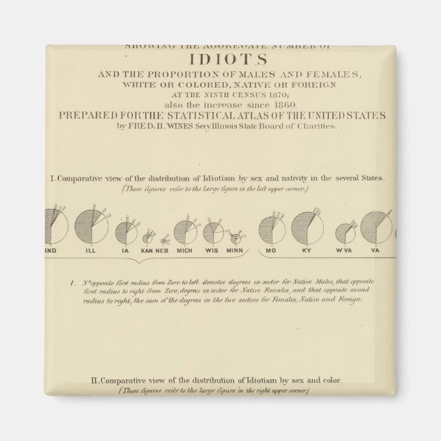 Idioten, Statistischer US-Lithograph 1870 Magnet (Vorne)