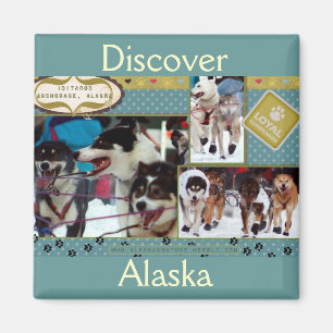 Iditarod Loyal Magnet