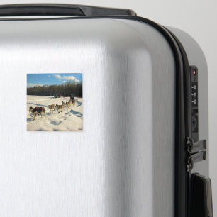 Iditarod Trail Schlittenhunde Magnet