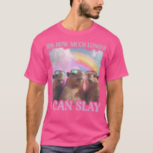 Idk, wie lange ich Capybara noch töten kann T-Shirt