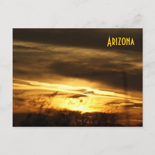 IDKP Arizona Nachlasskarte Postkarte (Vorderseite)