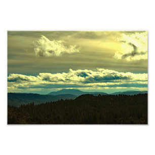 Idyllwild - Kiefernwald Fotodruck