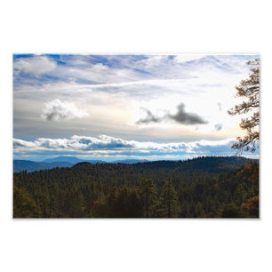 Idyllwild - Kiefernwald Fotodruck