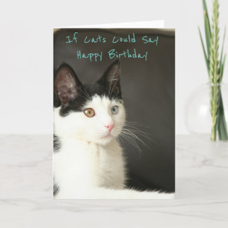 If Cats Could Say Happy Birthday Karte