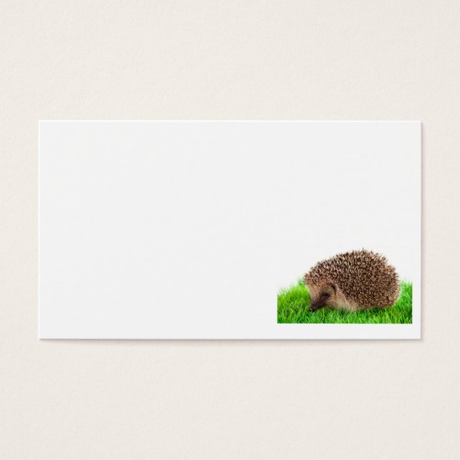 Igel (Vorderseite)