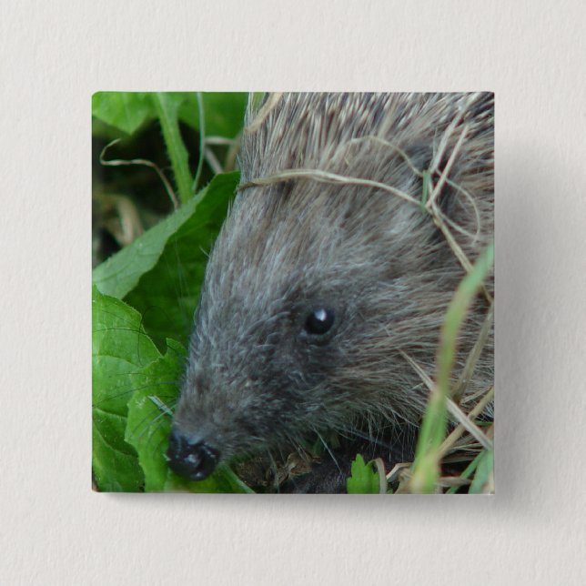 Igel #1 button (Vorderseite)