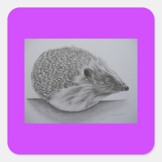 Igel (2) quadratischer aufkleber