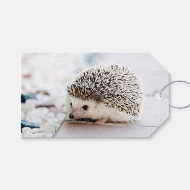 Igel Baby Geschenkanhänger (Vorderseite (Horizontal))