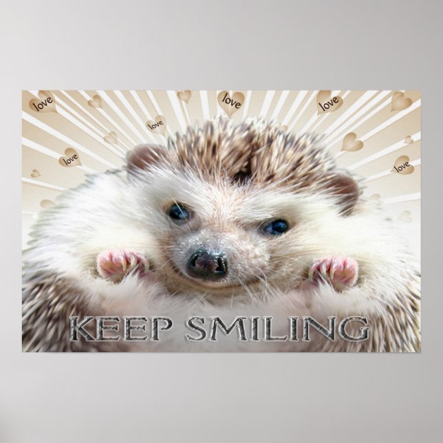 IGEL BEHALTE SCHLAFPLATZ POSTER (Vorne)