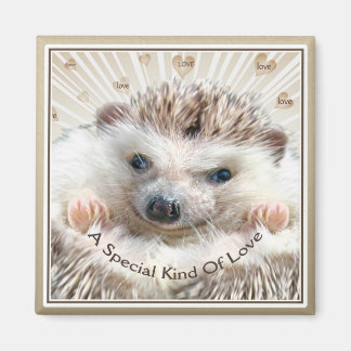 Igel besondere Liebe Magnet