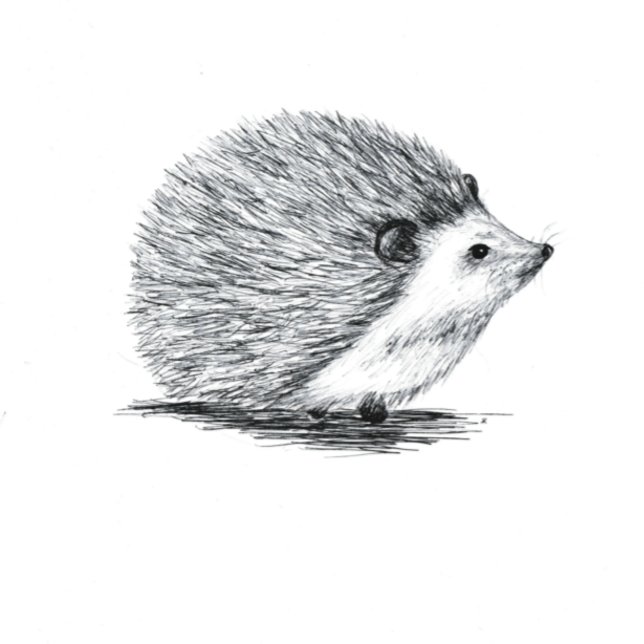 Igel Dankeschön Karte (Von Creator hochgeladen)