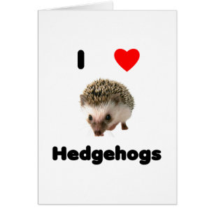 Igel der Liebe I