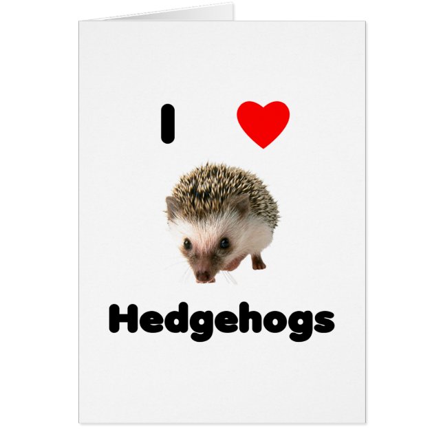 Igel der Liebe I (Vorne)