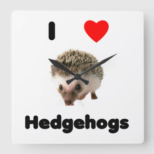 Igel der Liebe I Quadratische Wanduhr