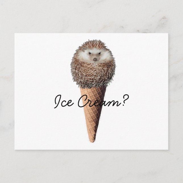 Igel Eiscreme Postkarte (Vorderseite)