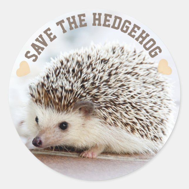 Igel gerettet runder aufkleber (Vorderseite)