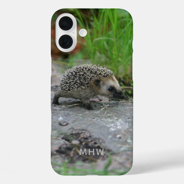 Igel-Handy-Fälle iPhone 16 Plus Hülle (Rückseite)