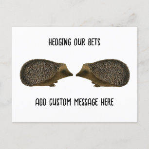 Igel heiraten - Funny Igel Hochzeit Postkarte