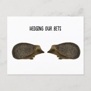 Igel heiraten - Lustige Igelhochzeit Postkarte