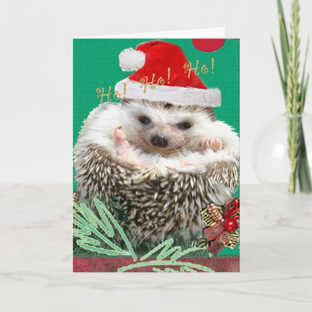 Igel HO! HO! HO! Feiertagskarte (Vorderseite)