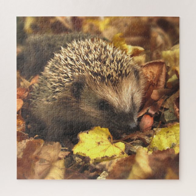 Igel im Herbst (Vertikal)