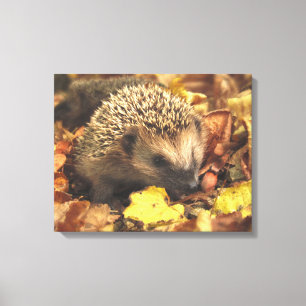 Igel im Herbst Leinwanddruck