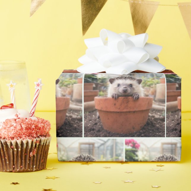Igel in einem Tongefäß Geschenkpapier (Geburtstagsparty)
