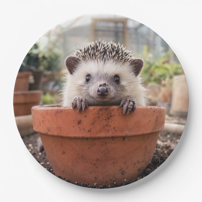 Igel in einem Tongefäß Pappteller (Vorderseite)