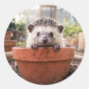 Igel in einem Tongefäß Runder Aufkleber