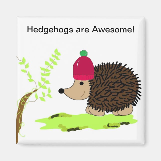Igel in einer roten Toque Magnet (Vorne)