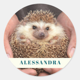 Igel in Hands-Foto Runder Aufkleber