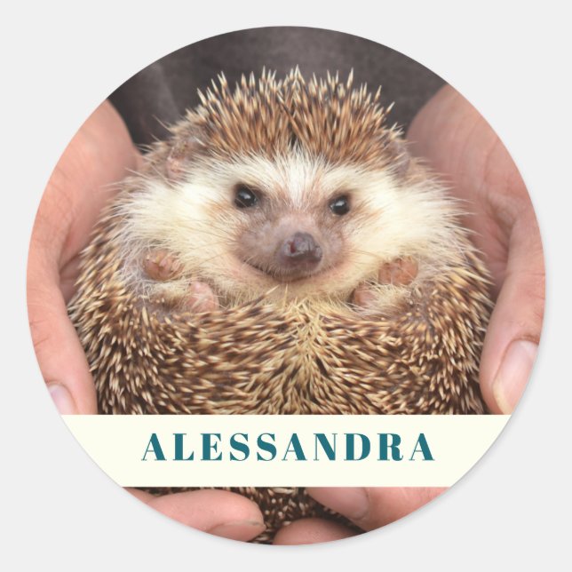 Igel in Hands-Foto Runder Aufkleber (Vorderseite)