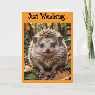 Igel In Kontakt Bleiben Grußkarte Karte