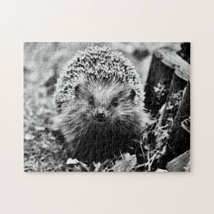 Igel in Schwarz/Weiß, Jigsaw Puzzle
