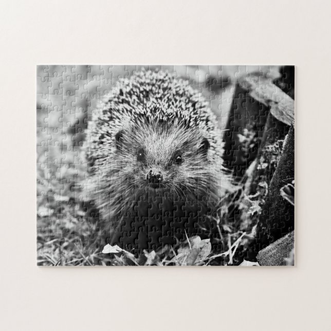 Igel in Schwarz/Weiß, Jigsaw Puzzle (Horizontal)