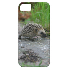 Igel iPhone Case-Mate title_seo2