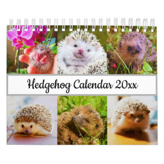 Igel Kalender