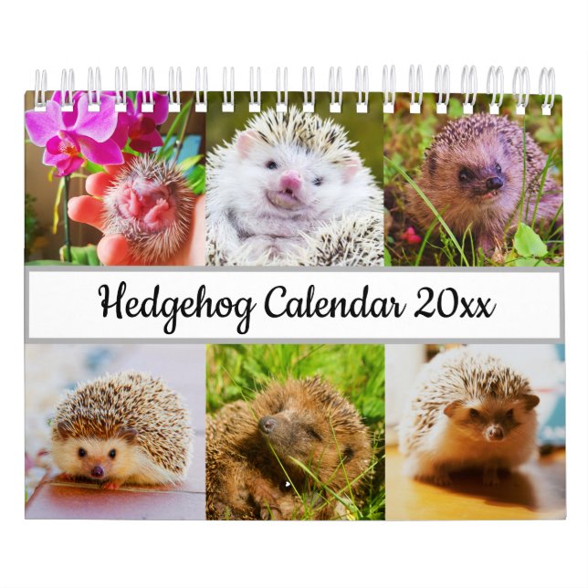Igel Kalender (Titelbild)