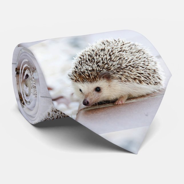 Igel Krawatte (Gerollt)