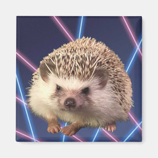 Igel Laser Background Magnet